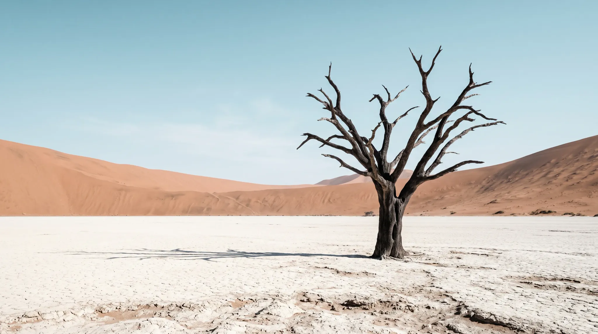 A solitary, ancient dead tree with dark, twisted bare branches stands rooted in a vast cracked white clay pan (salt flat / dry lakebed). Large, smooth orange-red sand dunes rise dramatically in the background on both the left and right sides. The sky above is clear and pale blue with no clouds. The tree casts a long shadow across the pale ground. The scene conveys extreme aridity, solitude and timeless desolation — consistent with the famous Deadvlei-type desert landscape of southern Africa.