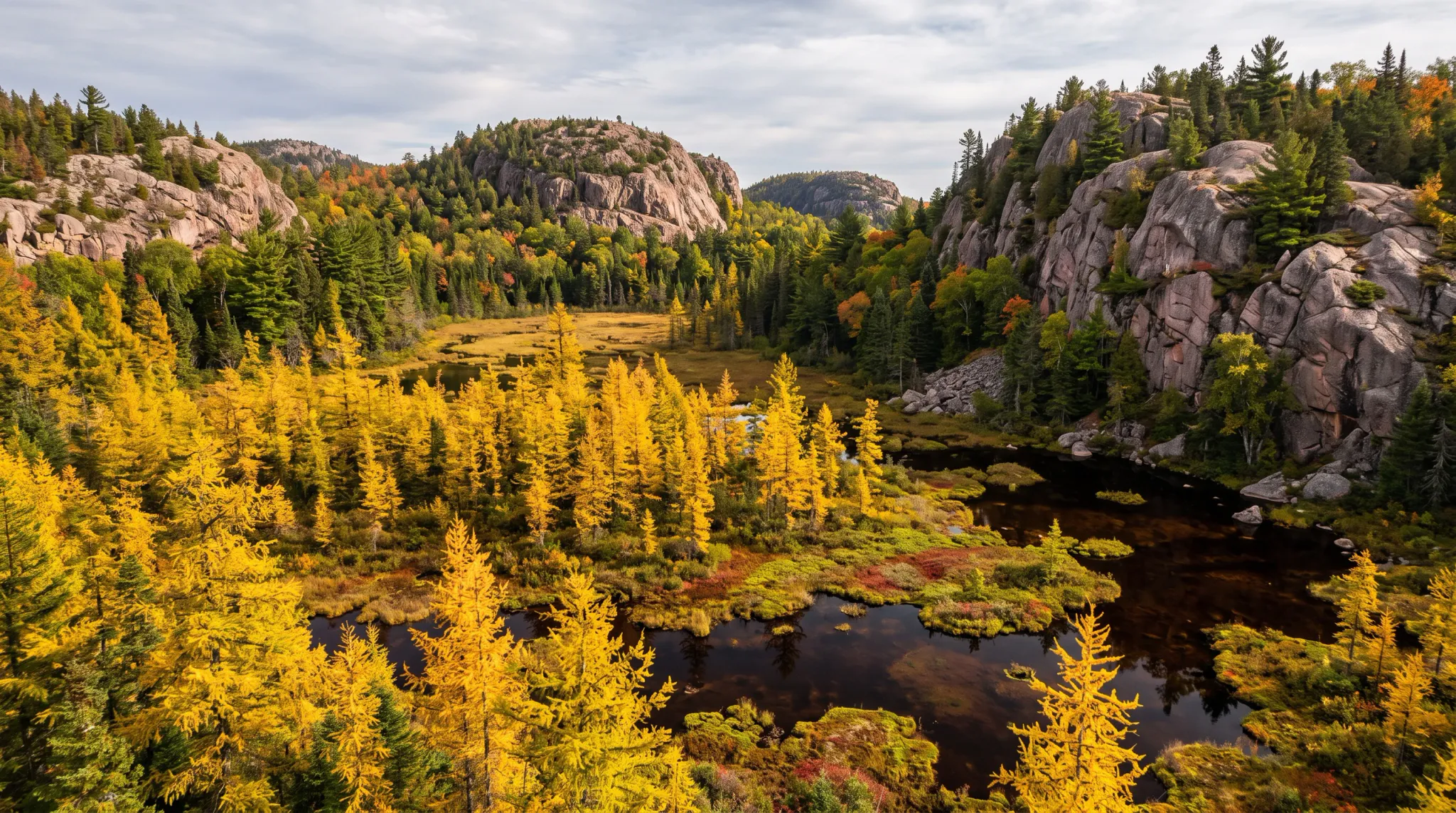Elevated wide-angle view of a serene autumn wetland surrounded by steep pinkish-gray granite rock ridges and mixed boreal forest. Vibrant golden-yellow larches flank calm, dark peat waters reflecting the fall foliage, with evergreen pines growing along the rocky outcrops under a partly cloudy sky.