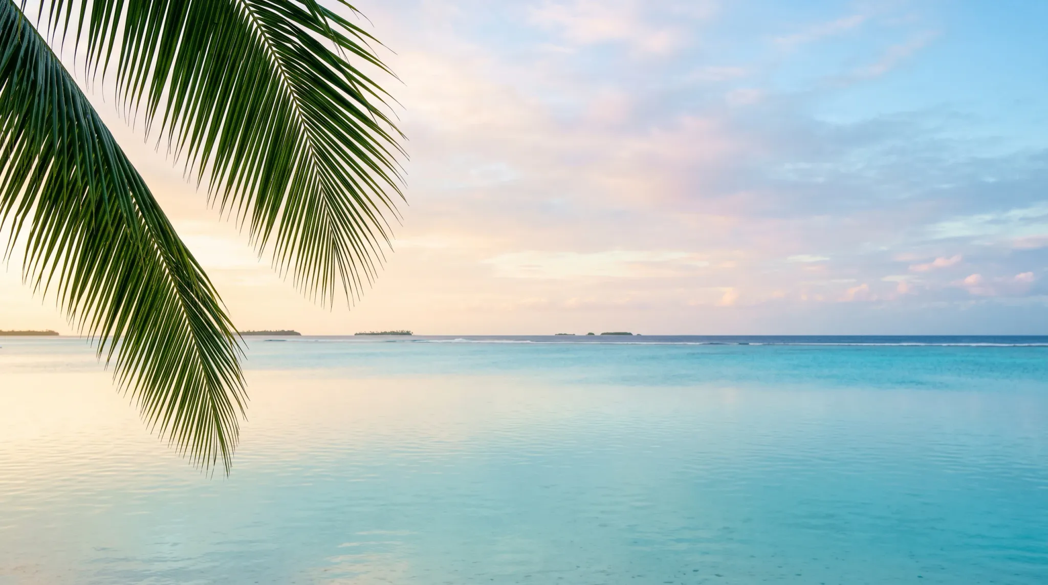 A serene tropical seascape featuring calm turquoise lagoon waters under a soft pastel sky at dawn or dusk. Lush green palm fronds hang in the upper-left foreground, framing the tranquil ocean surface that reflects gentle pink and yellow light. In the far distance along the level horizon, small low-lying tropical islands and reefs are faintly visible beneath light scattered clouds.