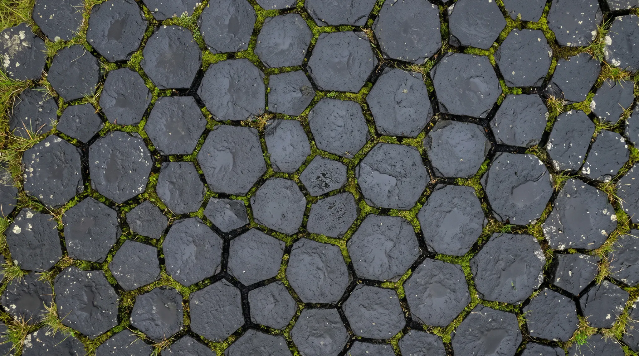 A direct overhead, top-down photograph showing a geometric tessellation of dark hexagonal columnar basalt rocks. The damp, dark gray to black stone columns fit tightly together with bright green moss and small grass blades growing along the crevices and joints. Pale lichen flecks are visible on the weathered, slightly uneven upper rock surfaces.
