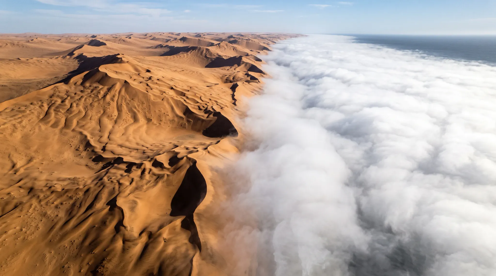 An aerial wide-angle perspective captures the striking boundary where vast, undulating orange-gold desert sand dunes meet a thick bank of white sea fog rolling in over the ocean along an arid coast. Sharp dune ridges cast deep shadows across the rippled sand expanse, providing dramatic contrast against the billowing maritime cloud cover.