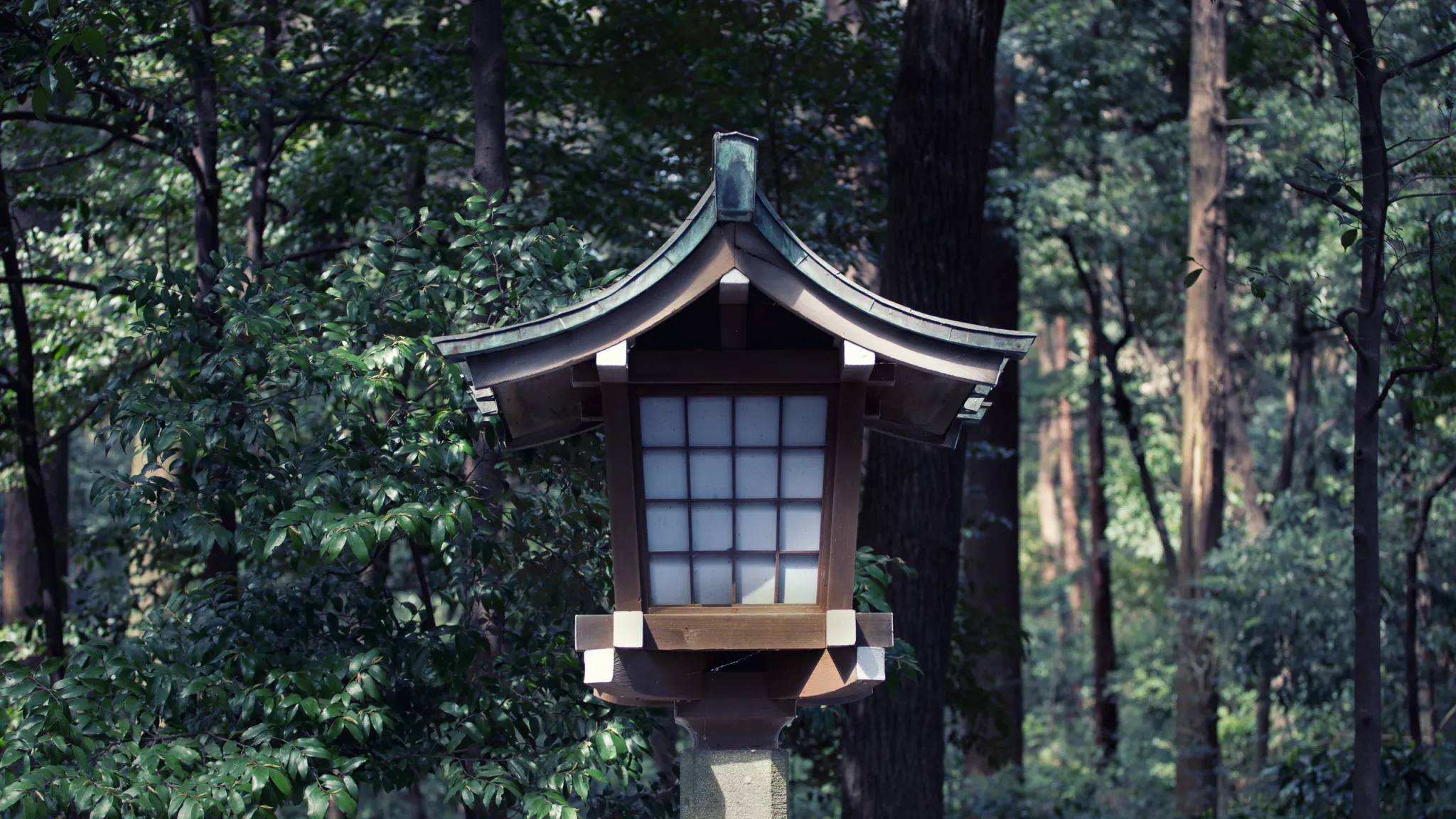 A traditional Japanese-style wooden lantern with a curved roof, translucent paneled front, and stone pedestal stands centered among dense green woodland. Soft daylight filters through the trees, creating a quiet, secluded atmosphere.