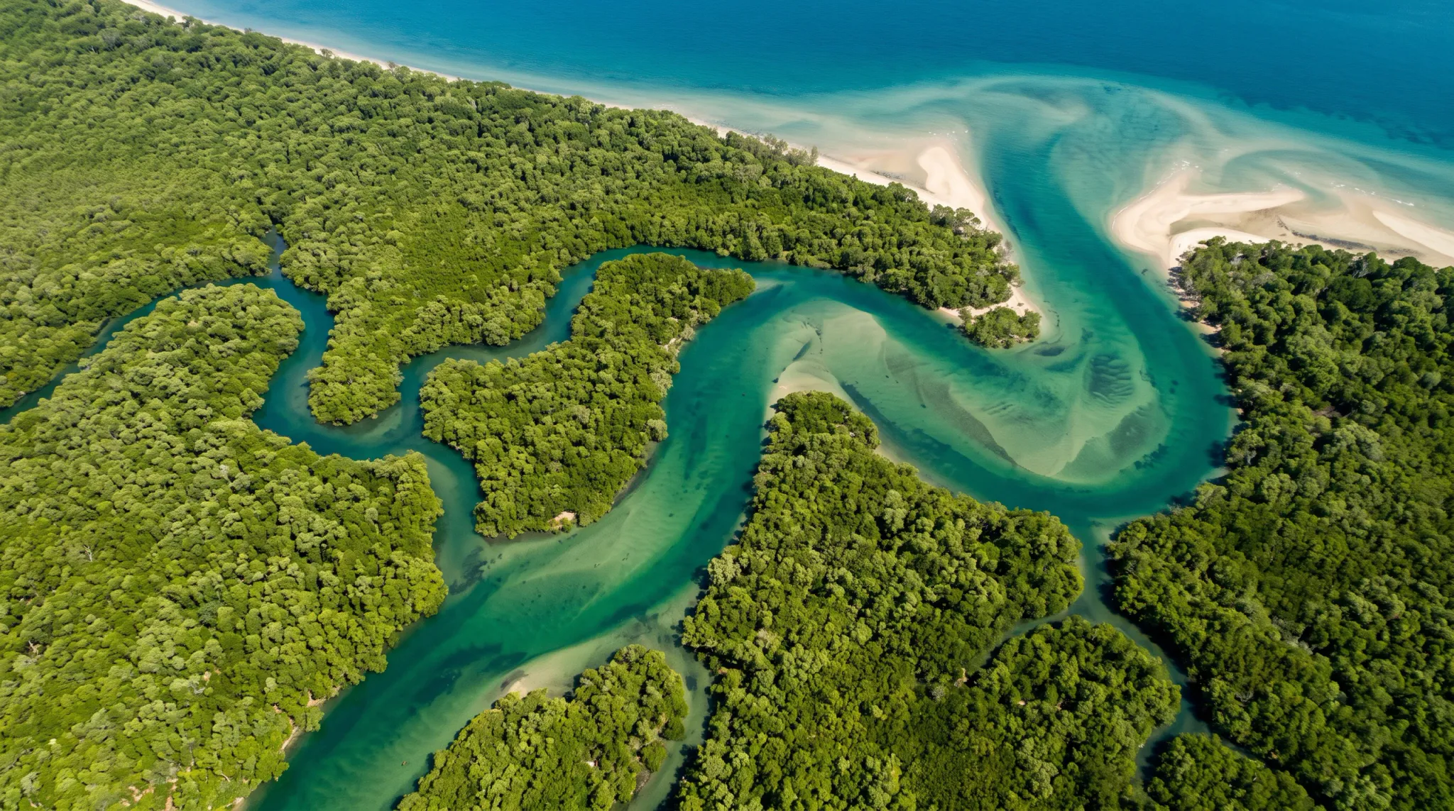 A high-angle aerial photograph captures a vivid turquoise tidal river meandering through an expansive, dense green mangrove forest before emptying into the sea. Sandy shoals and light-toned sandbars curve along the river mouth and coastline, with clear turquoise ocean waters visible along the upper edge under bright daytime sunlight.