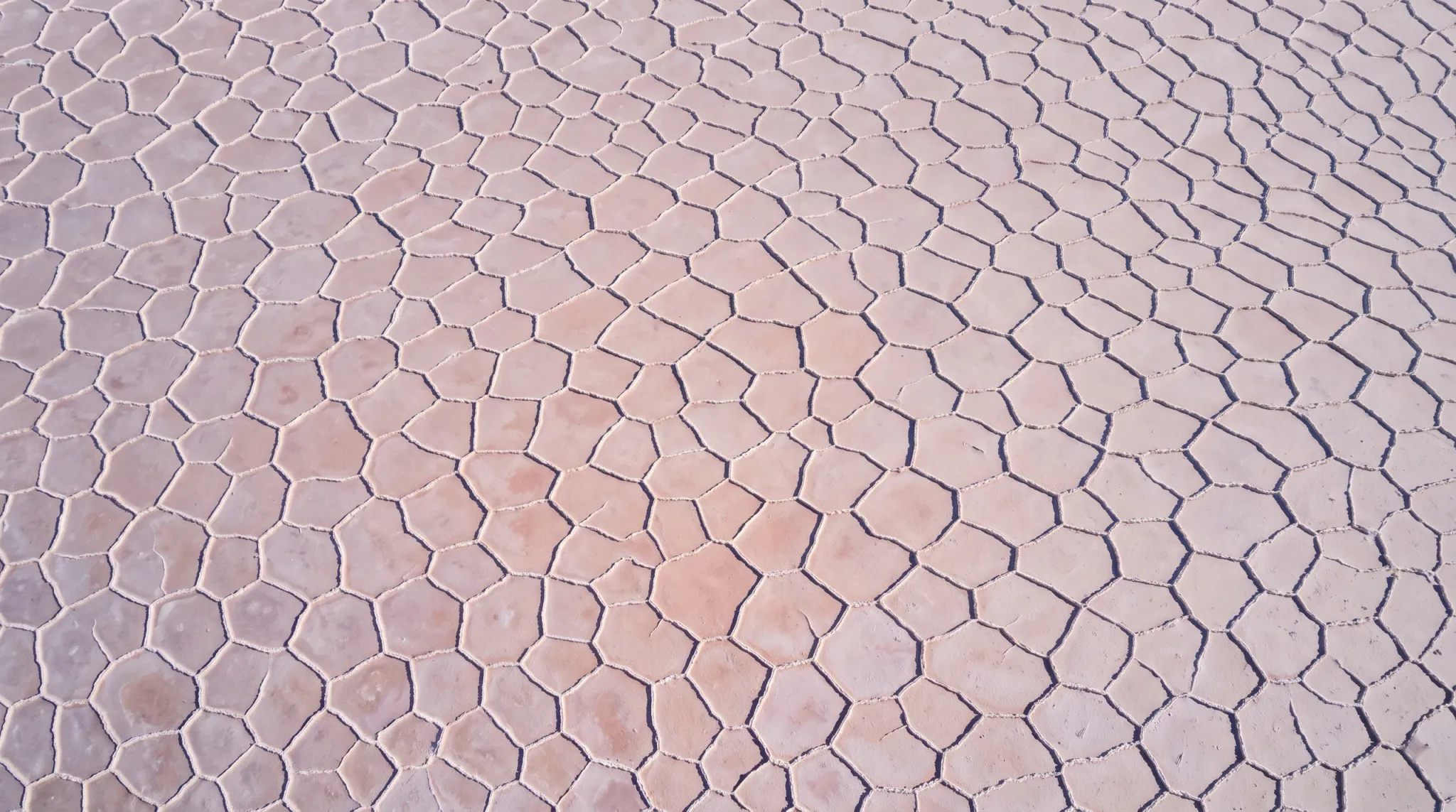 A high-angle, full-frame photograph capturing the tessellated, geometric cracking of a dry salt flat. Distinct polygonal tiles in pale pink, beige, and tan tones are separated by narrow fissures across the entire arid surface.