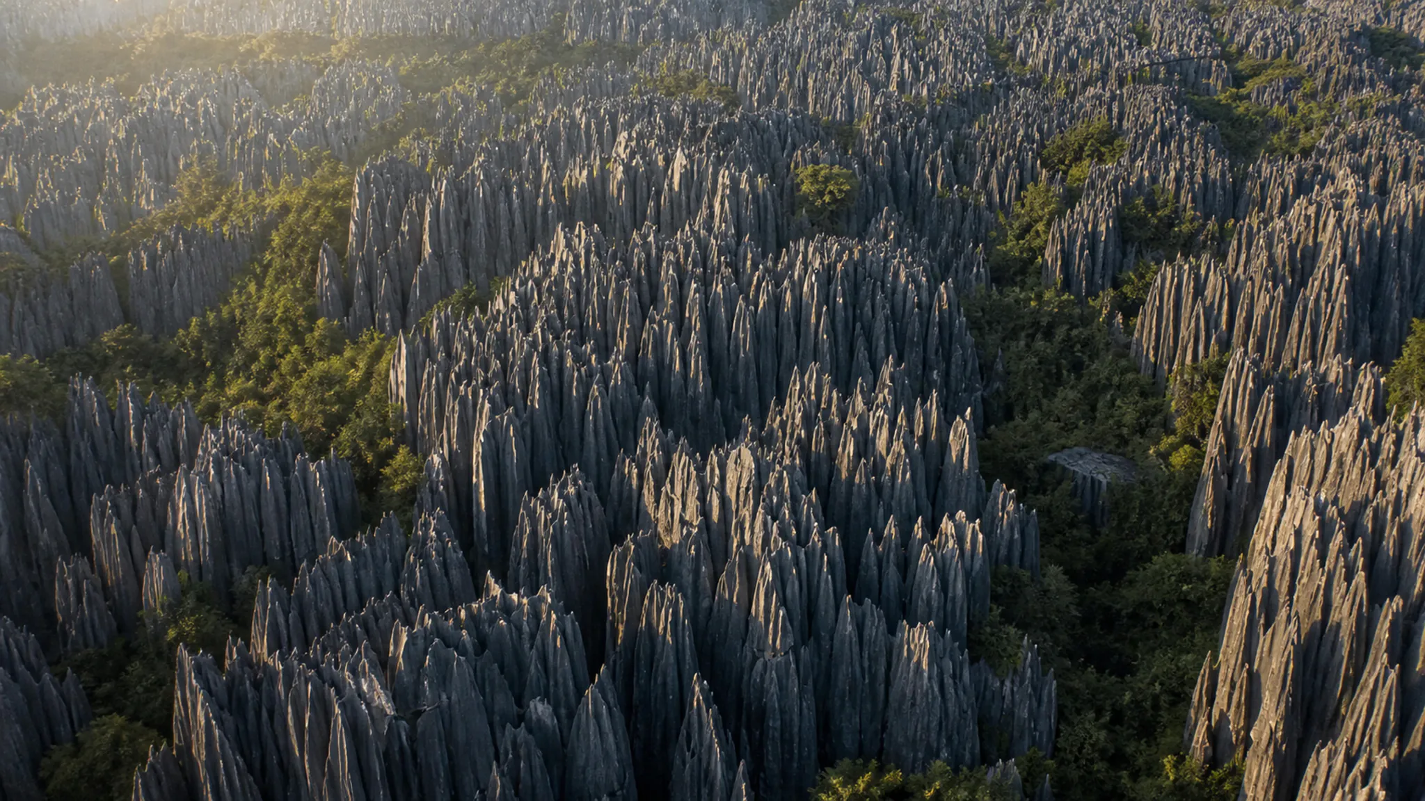 Aerial view of dense limestone pinnacles with green trees in the crevices.